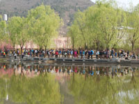 ����̤����ʱ�� ����ӭ��԰�߷塱