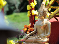 “浴佛”开启欢乐泼水节”