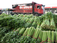 ������Ĳ�۲�������