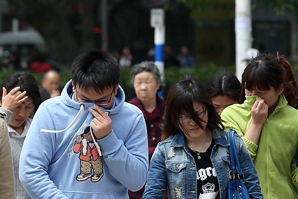 南京满城尽飘梧桐毛絮”