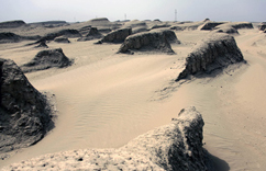 ��ظ�ԭ��ħ���ǡ��ŵ���ò ����׳�ۡ�