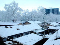 祁连山下四月雪景如梦似幻”