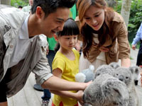 田亮一家认养澳洲国宝考拉”