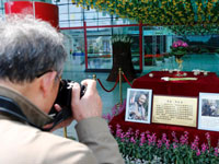 “国泰”郁金香亮相北京”