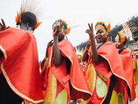 ����˹2014�񻶽��趯���֡�