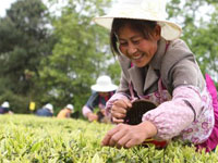 重庆举行首场农村留守妇女技能比赛”