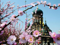 ��������㴺ɫ��