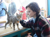 è⿧ȵ꿪ҵ СèԱȷ˿͡