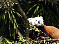 �й�ϲ�����ź���è�仧�����ɽ�ɽ��