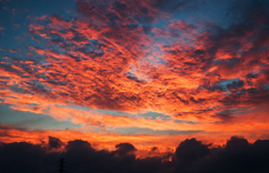 ����������������ϼ���족