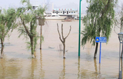 ǿ�����¸ӽ�����Ѵ�������ˮλ ����֧�������䡱