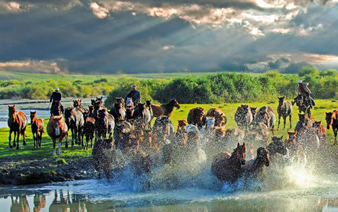 ���������½��������������ɡ�