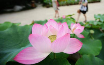 �������������������