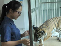 ���춯��԰���ϻ���������䡱��ɽ��