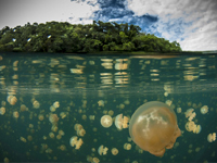 神奇的地球:揭秘地球上最奇异的那些湖”