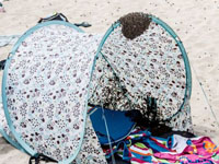 ֻ۷ͻϮӢ̲ο ˻4Сʱ