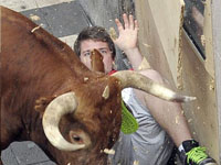 西班牙奔牛节 公牛袭击人群”