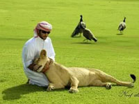 史上最全迪拜王族成员生活照”