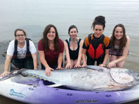 英海域发现2米长稀有金枪鱼估价千万”