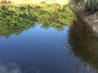 �㽭�ֽ�һ����ˮԴ��ڳ�̶ �����ˮϴ���ð���