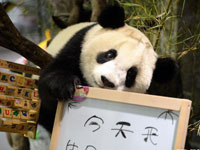熊猫宝宝过生日”