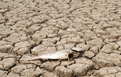 ������50���¶������� ����ˮ��ɺԼ��ס�