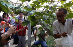 ̨��ũׯ��������ý��������