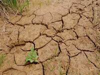 ���Ͼֵغ������ �ƺӴ�����Ӵ���¶��