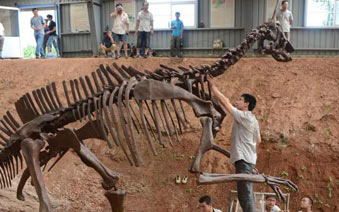 �����ൺ��ͬ��������ģ�ͱ������֡�