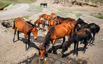 �½�����ӹ��⺵�� ������ʳ�ѡ�