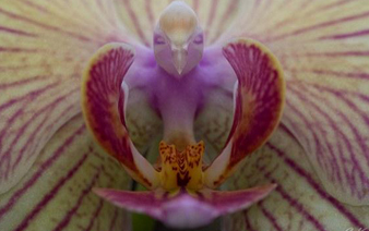 ۣӰʦ΢ಶ׽еġС񡱡