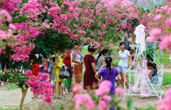浙江仙居首届紫薇花节开幕”