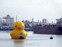 ���Ѽ���ε�����ɼ����̲ Ϊ��Φ�˷��������ˡ�