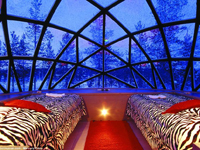 �������ݾƵ��������� ׳������һ�����ࡱ