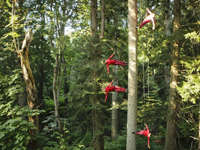 �������赸����������֮�䡱