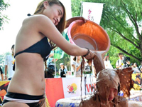 ����ľ��ʯ�ཬ��������ʹ�ս��