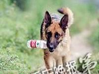 ���ﹷ��������ƿ һ�������׬��ǧ��Ԫ(��ͼ)��