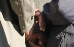 ���࿵��ţ�����г���������ۡ������У���ͼ����