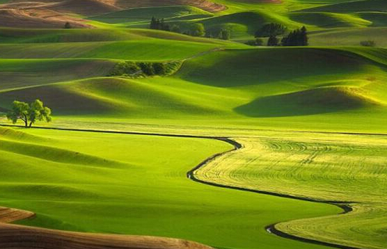摄影师拍美国广袤草原 美若仙境”