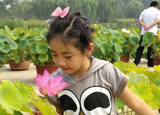 �ӱ����ɻ�Ʈ����������ͼ����