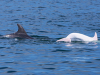 ���к����ֺ����׻����� ȫ�����20ֻ��