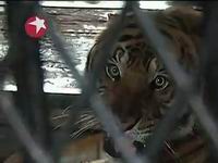 �����˴��붯��԰Ѳ��Ա�����³����ϻ�ҧ��(��ͼ)��