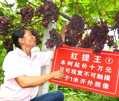 �����˲�����ۺ��� һ����������10��������