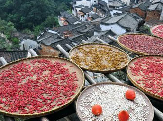 ������Դɽ�����æ ��Ͷ��ء�ɹ�ͼ��