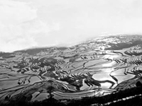 国际摄影大赛揭晓”