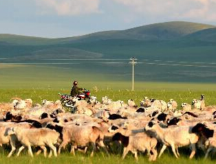 ���ɹ����������1��ֻ��