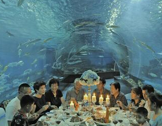 ���������и��ܡ���⡱�ϵ���ʳ��