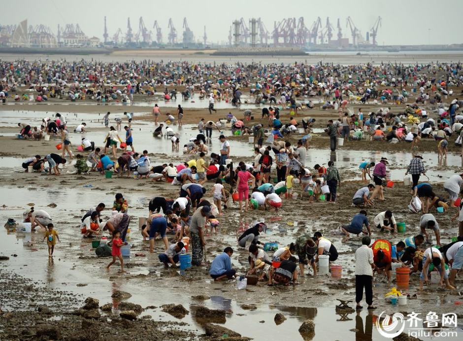 ɽ�����տ��������ˡ�ʰ��������������ͼ����