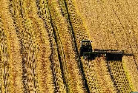 ���ӡ������ջ������𡱡�