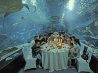 海底隧道中品尝“舌尖”上的美食”